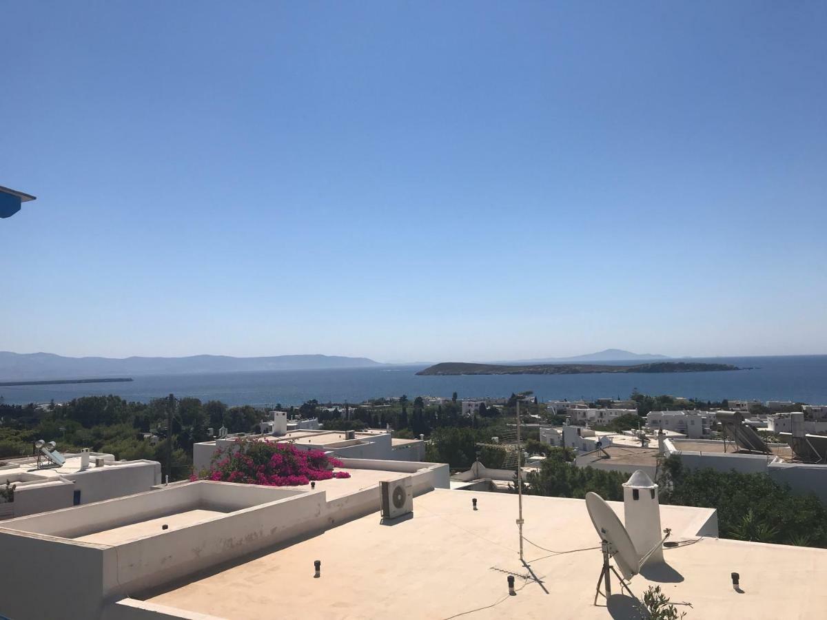 Studios Panorama Дриос Екстериор снимка