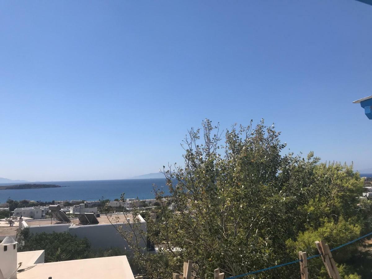 Studios Panorama Дриос Екстериор снимка